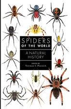 Zdjęcie Spiders of the World Platnick, Norman - Opatówek