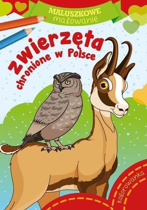 Maluszkowe malowanie. Zwierzęta chronione w Polsce.