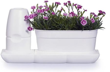 Minigarden Basic S Uno biały zielnik ogródek domowy (MGBSSUNOWH)