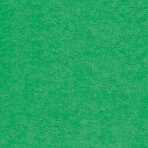 Argo Brystol Zielony Format A1+ (61X86Cm) 160 Arkuszy W Opakowaniu 271212