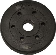 Zdjęcie Eb Fit Obciążenie Betonowe Kompozytowe 1,25Kg Fi30 - Puławy