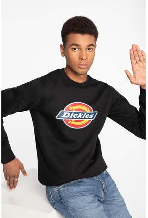 Bluza Dickies PITTSBURGH SWEATSHIRT BLACK DK220241BLK1 BLACK Ceny i opinie Ceneo.pl