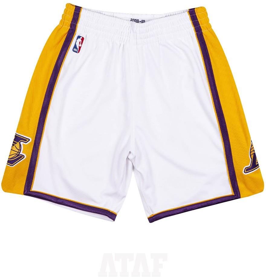 mitchell & ness nba authentic shorts