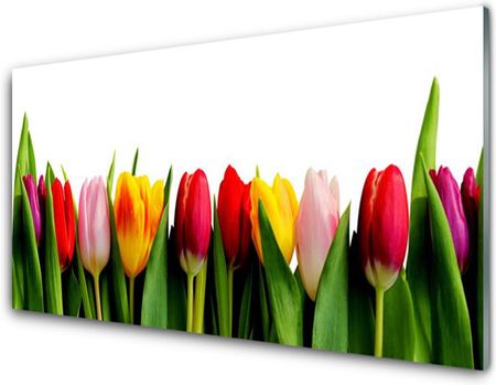 Tulup Obraz Akrylowy Tulipany Roślina 120x60cm (PLOAHNN19871376)