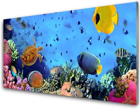 Tulup Obraz Szklany Rafa Koralowa Przyroda 100x50cm (OSHNN43735584)