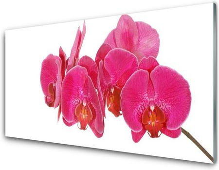 Tulup Obraz Akrylowy Kwiaty Roślina 140x70cm (PLOAHNN21943572)