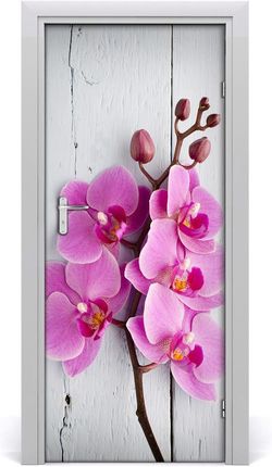 Tulup Nalepka Naklejka fototapeta na drzwi Różowa orchidea 75x205cm (DOORSTICKERF118409675)