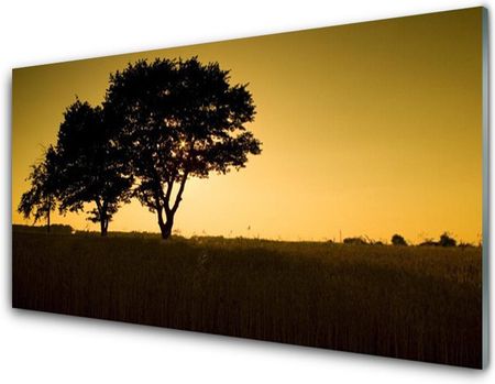 Tulup Obraz Akrylowy Drzewa Natura Roślina 125x50cm (PLOAHNN25642264)