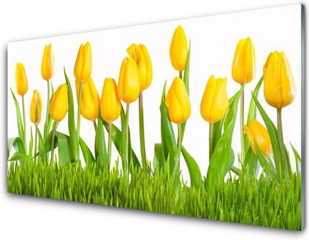 Tulup Panel Kuchenny Tulipany Na Ścianę 100x50cm (PLPKNN131890949)