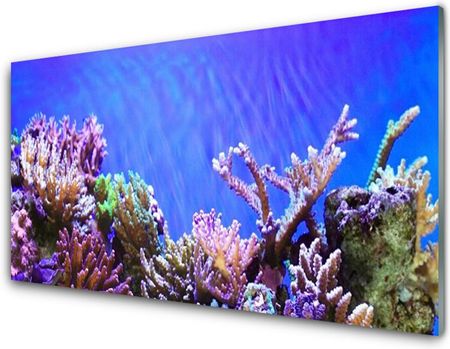 Tulup Obraz Szklany Rafa Koralowa Przyroda 100x50cm (OSHNN47399911)