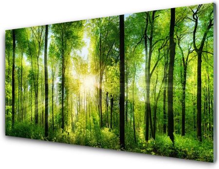 Tulup Obraz Akrylowy Las Natura Drzewa 125x50cm (PLOAHNN276530603)