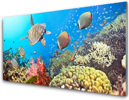 Tulup Obraz Akrylowy Rafa Koralowa Krajobraz 125x50cm (PLOAHNN28289655)