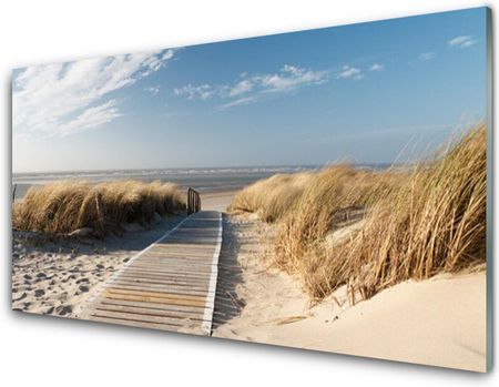 Tulup Obraz Akrylowy Plaża Ścieżka Krajobraz 100x50cm (PLOAHNN31531037)