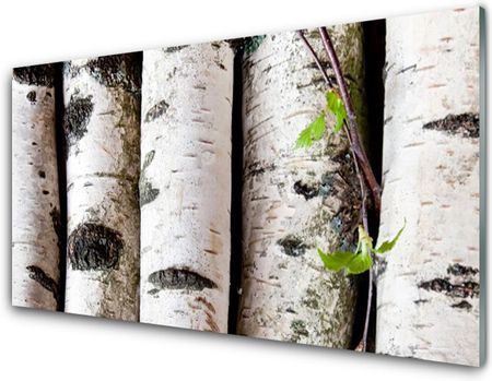 Tulup Obraz Akrylowy Drzewa Natura 100x50cm (PLOAHNN32178850)