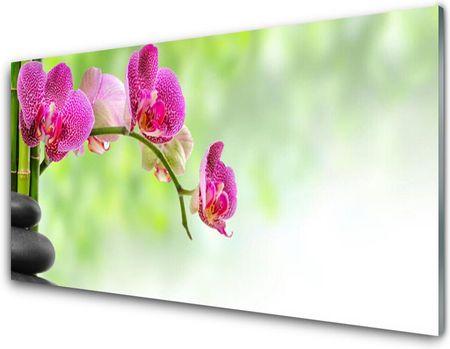 Tulup Obraz Akrylowy Kwiat Natura Bambus 100x50cm (PLOAHNN34345436)