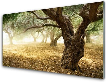 Tulup Panel Kuchenny Drzewo Trawa Natura 120x60cm (PLPKNN23402790)