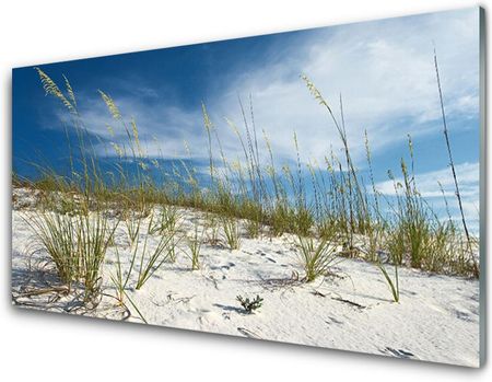 Tulup Obraz Akrylowy Plaża Krajobraz 100x50cm (PLOAHNN36307465)