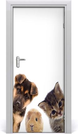 Tulup Naklejka samoprzylepna na drzwi Zwierzęta domowe 75x205cm (DOORSTICKERF67306538)