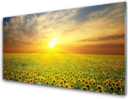 Tulup Obraz Szklany Słońce Łąka Słoneczniki 120x60cm (OSHNN59103097)