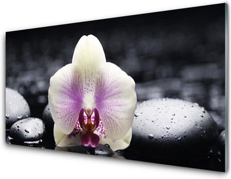 Tulup Obraz Szklany Kwiat Orchidea Roślina 120x60cm (OSHNN62804979)
