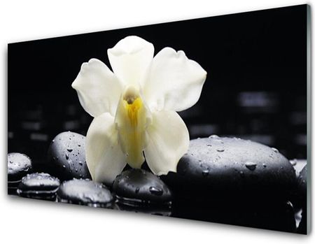 Tulup Obraz Szklany Kwiat Orchidea Roślina 100x50cm (OSHNN62839445)