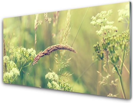 Tulup Obraz Akrylowy Dzikie Rośliny Natura 100x50cm (PLOAHNN42600934)