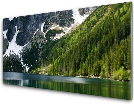 Tulup Obraz Akrylowy Jezioro Las Góry Krajobraz 100x50cm (PLOAHNN42660493)