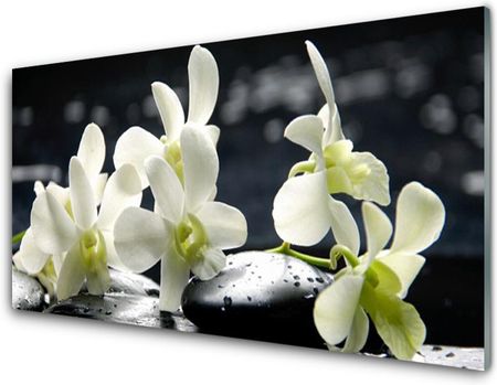 Tulup Obraz Szklany Kwiat Orchidea Roślina 100x50cm (OSHNN64347413)