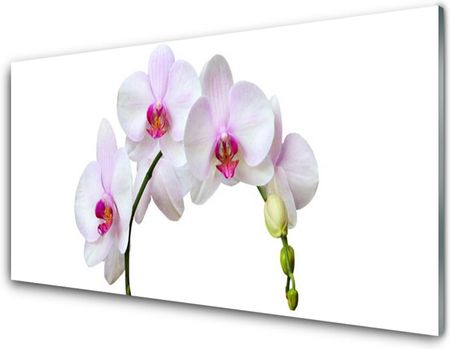 Tulup Obraz Szklany Storczyk Orchidea Kwiaty 140x70cm (OSHNN66517162)
