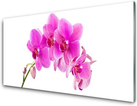 Tulup Obraz Szklany Storczyk Kwiat Orchidea 100x50cm (OSHNN67673367)