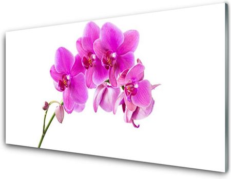 Tulup Obraz Szklany Storczyk Kwiat Orchidea 100x50cm (OSHNN67691937)