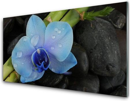 Tulup Panel Kuchenny Kwiat Kamienie Roślina 140x70cm (PLPKNN38225338)