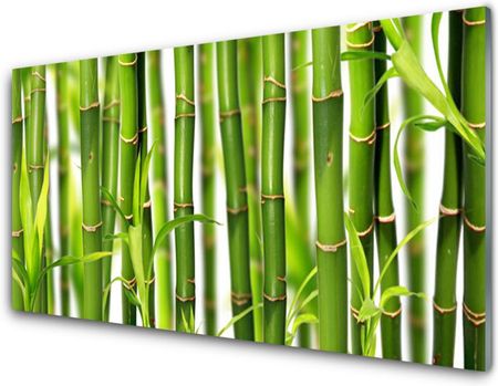 Tulup Obraz Szklany Bambusowe Pędy Liście Bambus 100x50cm (OSHNN68604538)