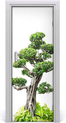 Tulup Naklejka samoprzylepna okleina Drzewo bonsai 75x205cm (DOORSTICKERF88907159)