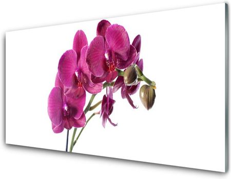 Tulup Obraz Szklany Storczyk Kwiaty Natura 100x50cm (OSHNN71469610)