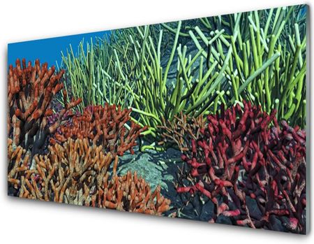 Tulup Obraz Akrylowy Rafa Koralowa Przyroda 125x50cm (PLOAHNN49363659)