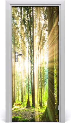 Tulup Naklejka fototapeta na drzwi Słońce w lesie 75x205cm (DOORSTICKERF92474685)