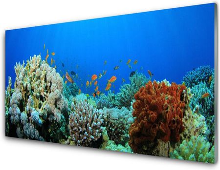 Tulup Obraz Akrylowy Rafa Koralowa Natura 120x60cm (PLOAHNN50494814)