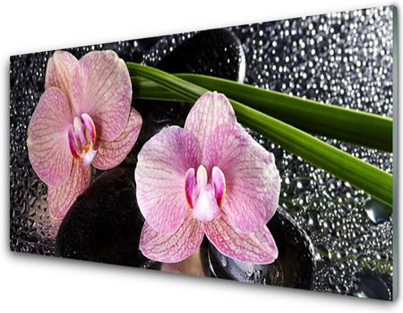 Tulup Obraz Szklany Kwiaty Orchidea Storczyk Zen 125x50cm (OSHNN74633049)
