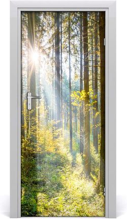 Tulup Naklejka fototapeta na drzwi Słońce w lesie 75x205cm (DOORSTICKERF98252702)