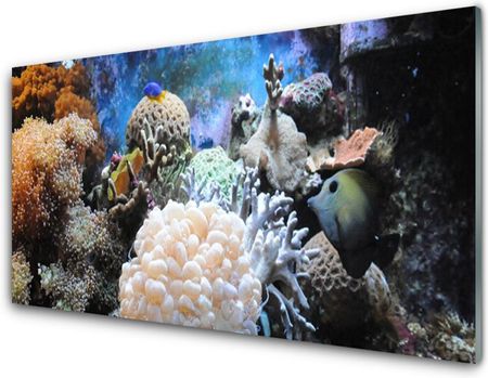 Tulup Panel Szklany Rafa Koralowa Przyroda 100x50cm (PLPKNN44317338)