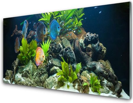 Tulup Obraz Akrylowy Ryba Akwarium Natura 140x70cm (PLOAHNN61075179)