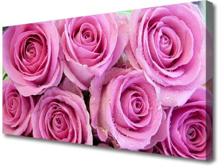 Tulup Obraz na Płótnie Róże Kwiaty Roślina 120x60cm (OCHNN40346975)