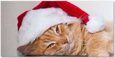 Tulup Obraz Akrylowy Kot Czapka Mikołaja Święta 100x70cm (OAH2S382960495)