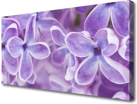 Tulup Obraz na Płótnie Kwiaty Roślina Natura 100x50cm (OCHNN41542916)
