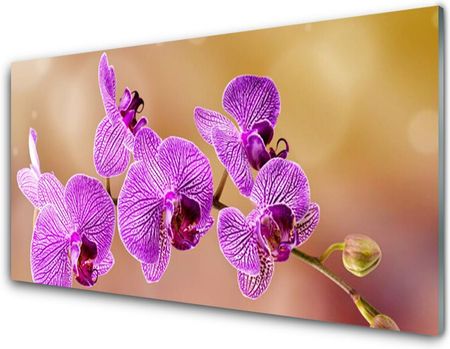 Tulup Obraz Akrylowy Storczyk Pędy Kwiaty Natura 100x50cm (PLOAHNN70465892)