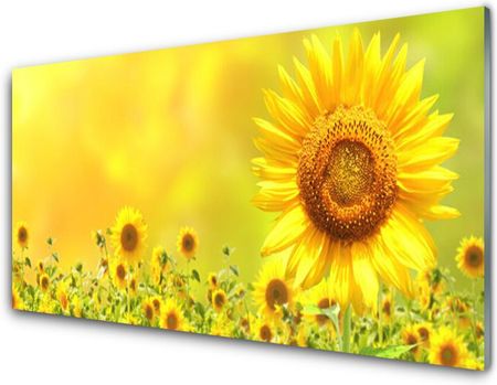 Tulup Panel Szklany Słonecznik Kwiat Roślina 140x70cm (PLPKNN55052352)