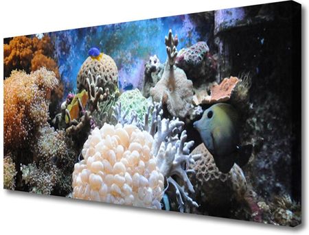 Tulup Obraz Canvas Rafa Koralowa Przyroda 120x60cm (OCHNN44317338)