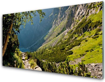 Tulup Panel Szklany Góra Las Przyroda 140x70cm (PLPKNN55649245)