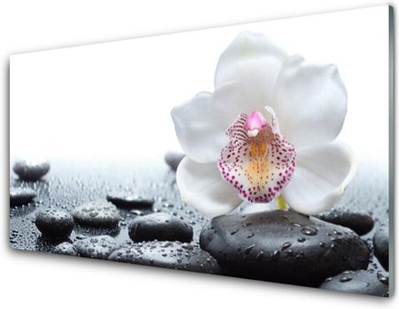 Tulup Panel Szklany Kwiat Storczyk Art 140x70cm (PLPKNN55997546)